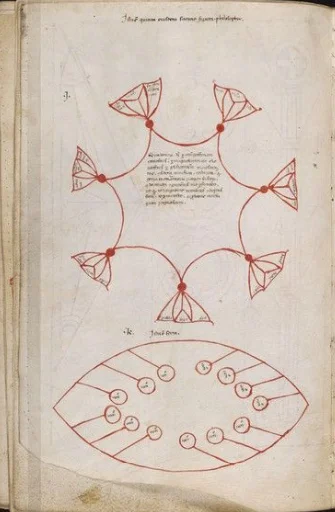 Hexagonal Trefoil Network